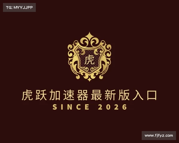 解读虎跃加速器最新版入口